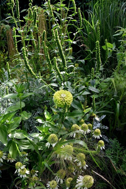 Ein außergewöhnlicher Garten in Gönningen