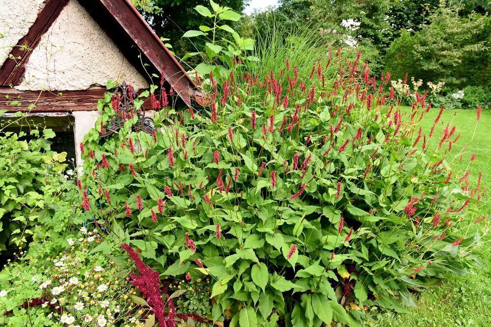 Ein außergewöhnlicher Garten in Gönningen