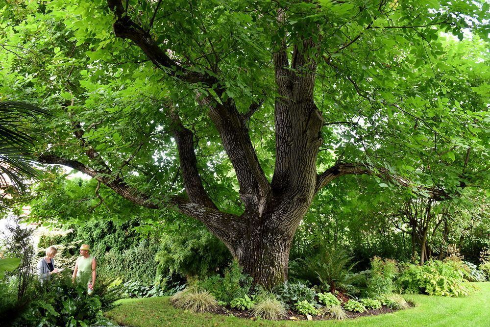 Ein außergewöhnlicher Garten in Gönningen