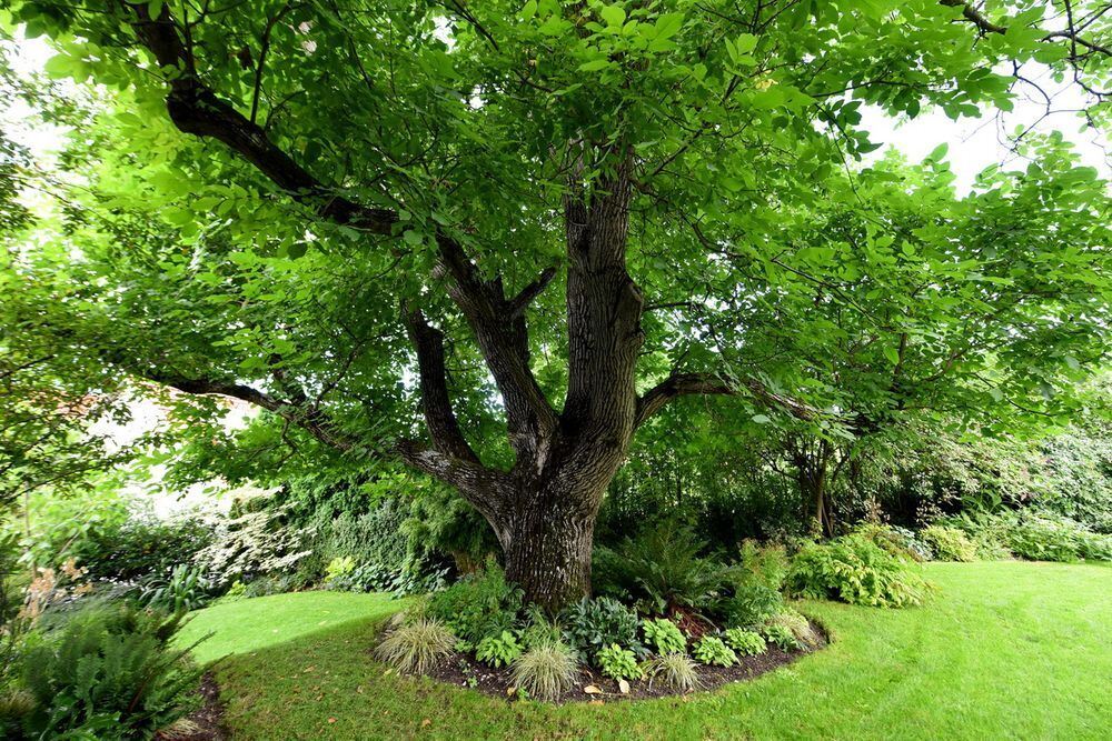 Ein außergewöhnlicher Garten in Gönningen