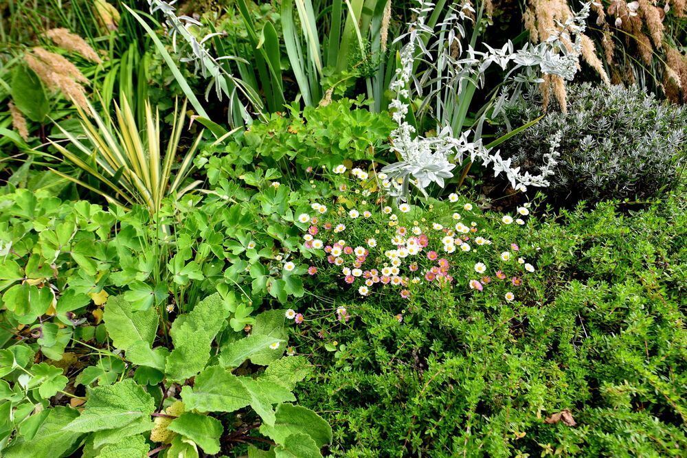 Ein außergewöhnlicher Garten in Gönningen