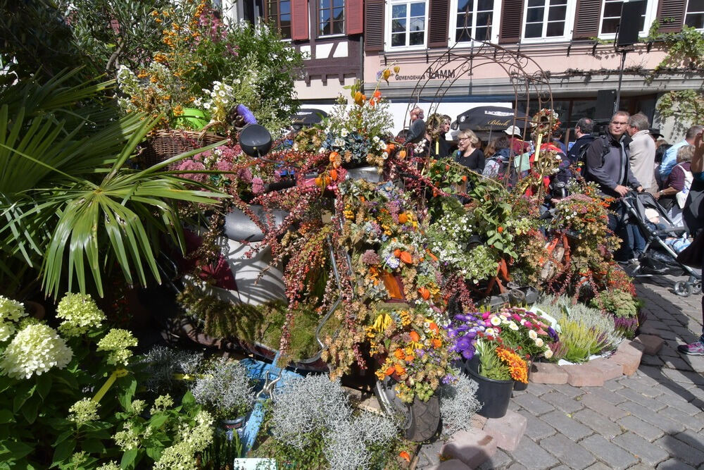 Umbrisch Provenzalischer Markt Tübingen 2017