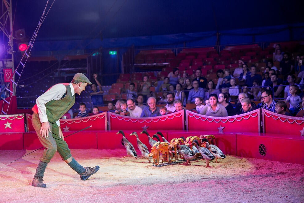 Zirkus Charles Knie Reutlingen September 2017