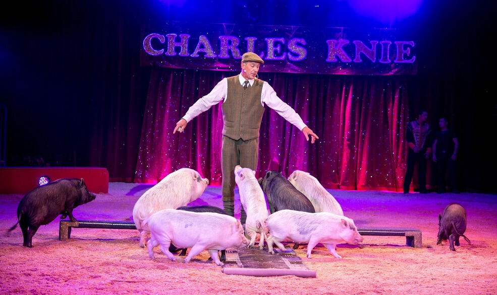 Zirkus Charles Knie Reutlingen September 2017