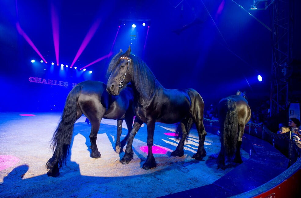 Zirkus Charles Knie Reutlingen September 2017