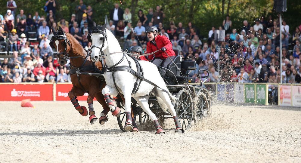 Marbach Hengstparade September 2017