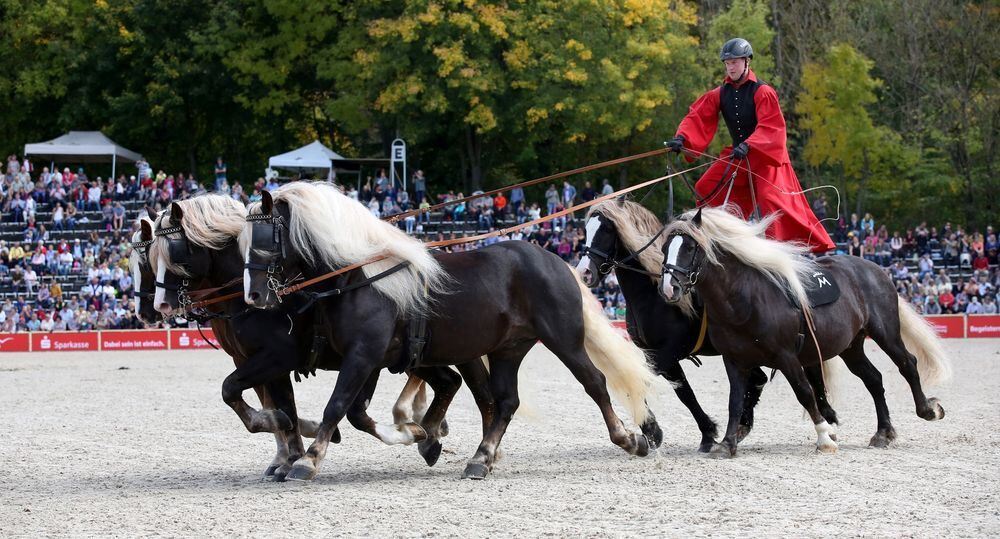 Marbach Hengstparade September 2017