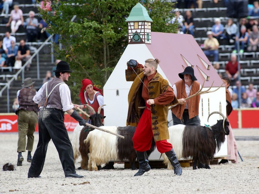 Marbach Hengstparade September 2017