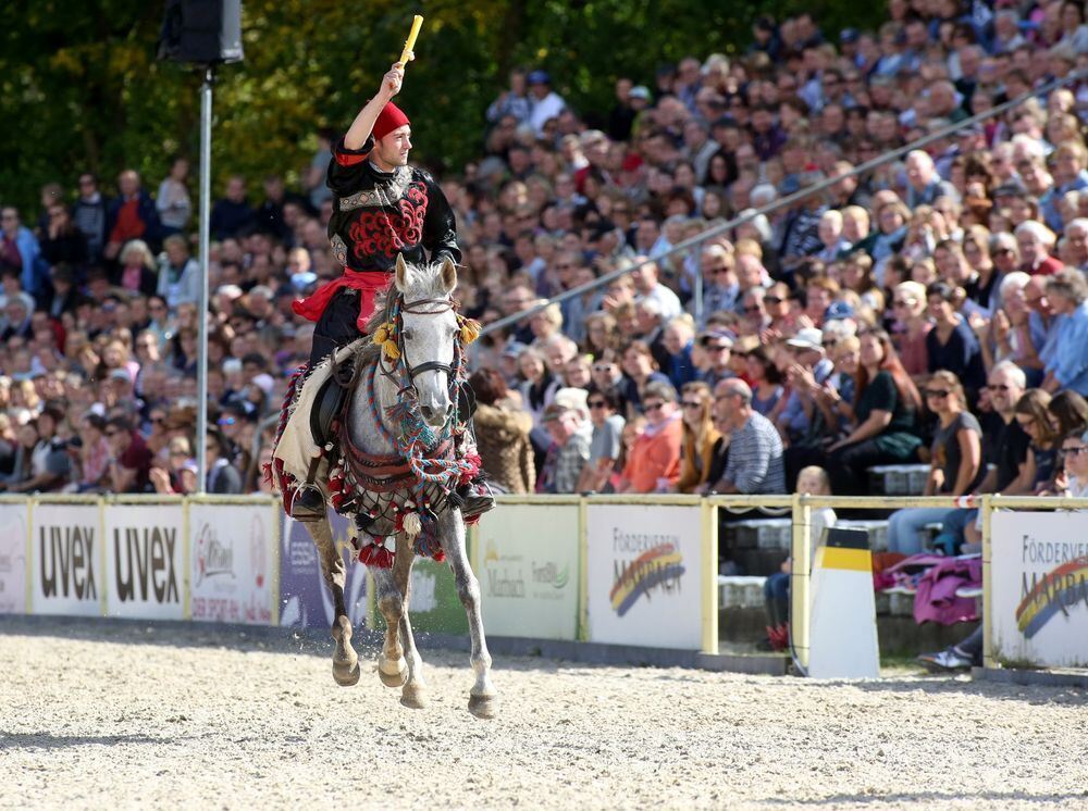 Marbach Hengstparade September 2017