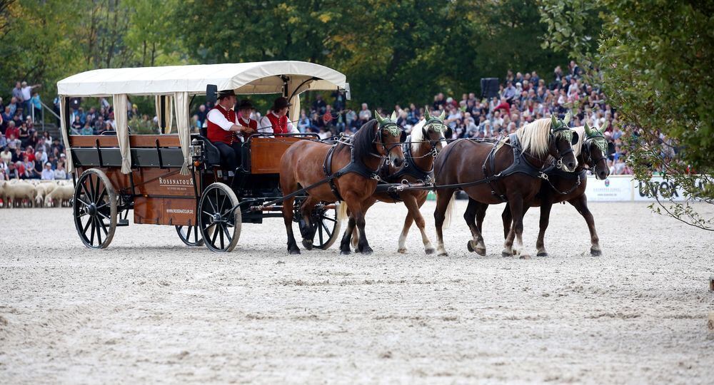 Marbach Hengstparade September 2017