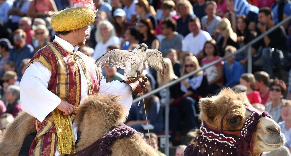 Marbach Hengstparade September 2017