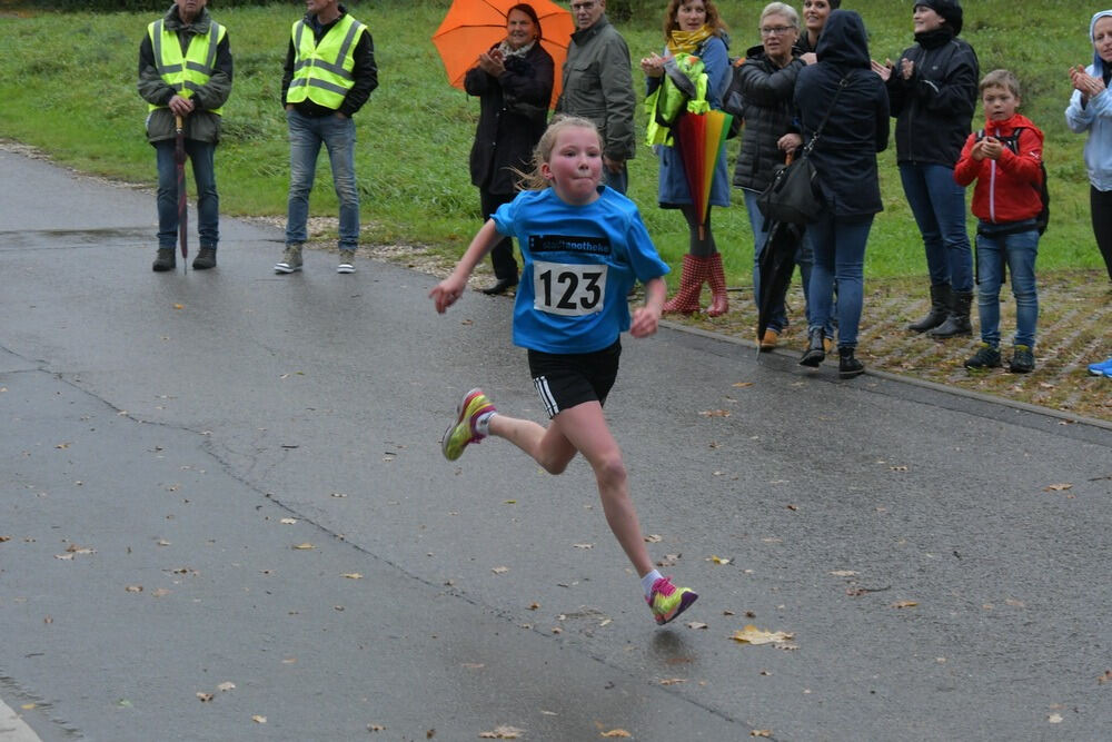 Volkslauf Bronnweiler 2017