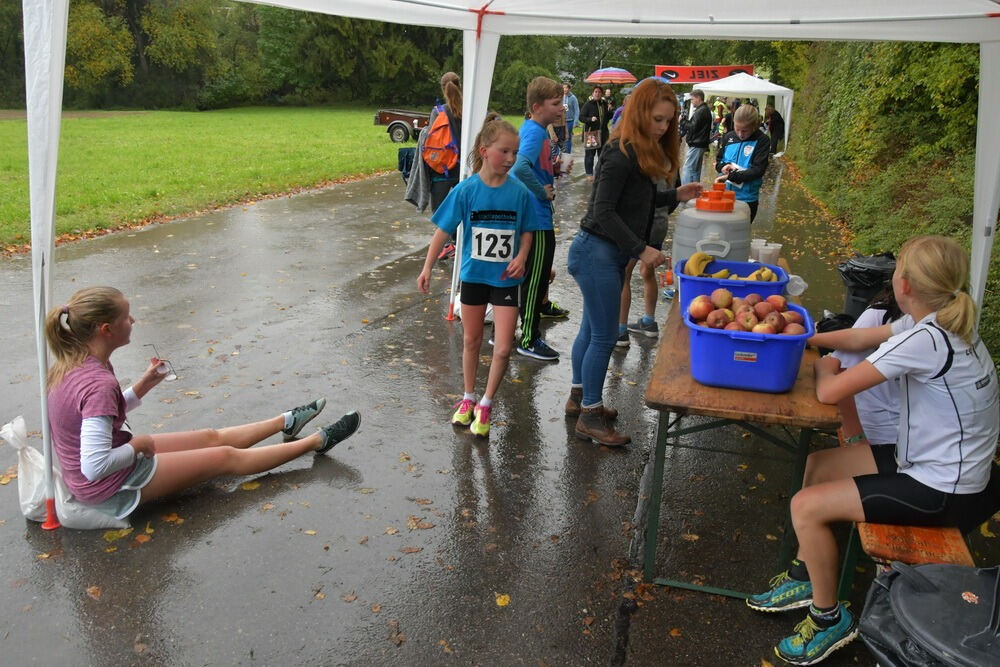 Volkslauf Bronnweiler 2017