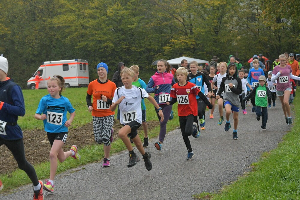 Volkslauf Bronnweiler 2017