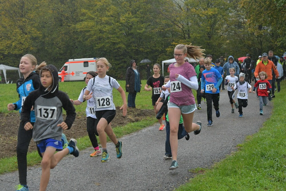 Volkslauf Bronnweiler 2017