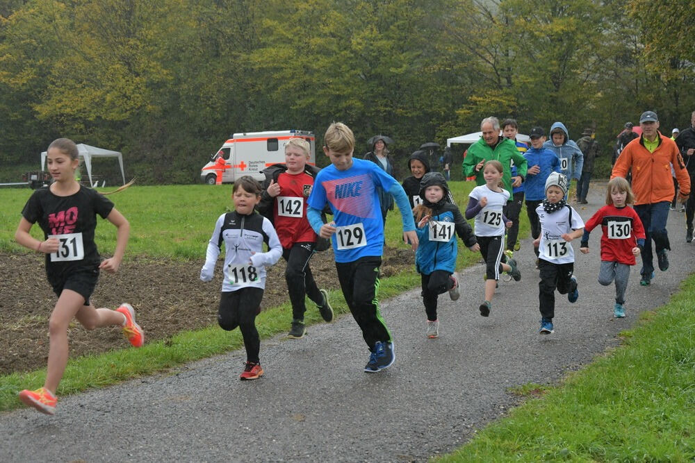 Volkslauf Bronnweiler 2017