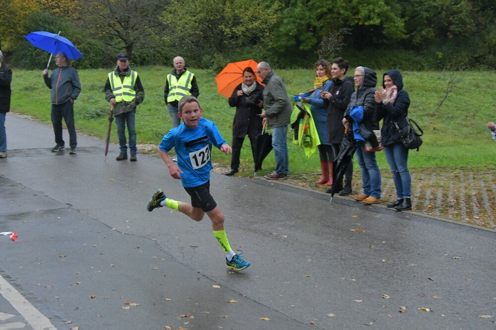 Volkslauf Bronnweiler 2017