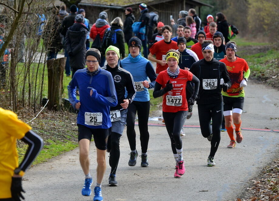 15. Alb-Gold Winterlauf-Cup 2018 in Gniebel