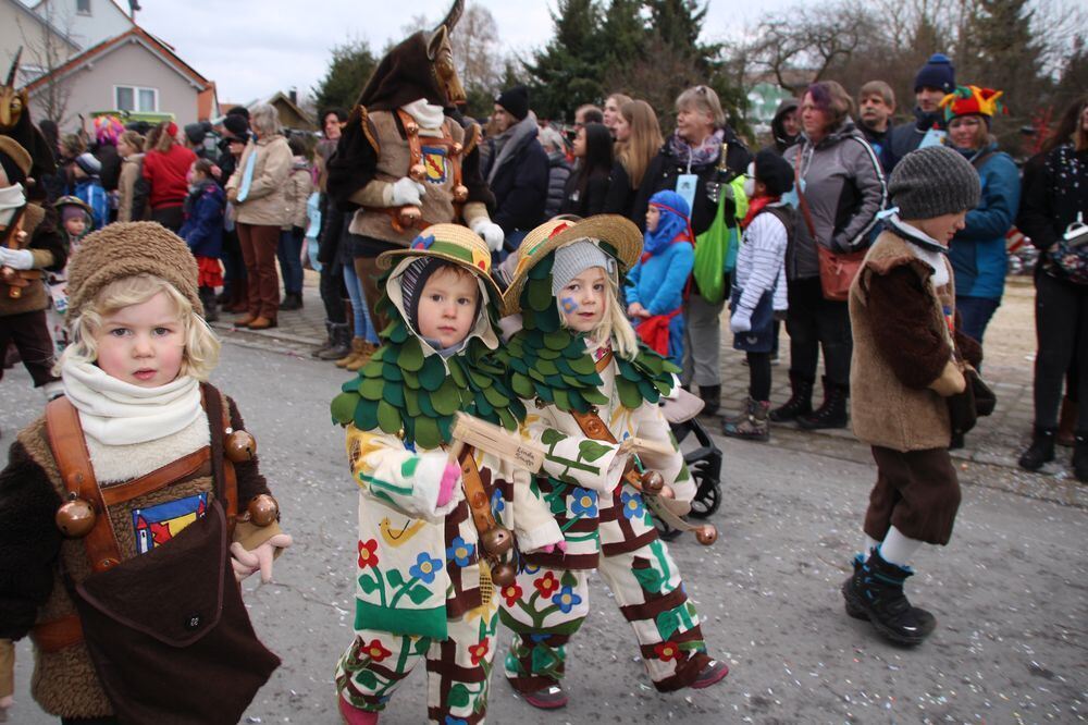 Narrenumzug in Hohenstein-Oberstetten 2018