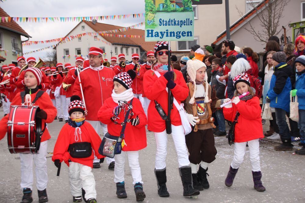 Narrenumzug in Hohenstein-Oberstetten 2018