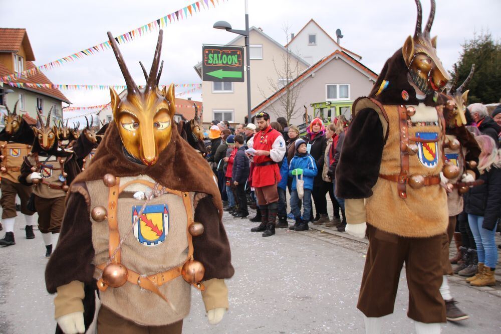 Narrenumzug in Hohenstein-Oberstetten 2018