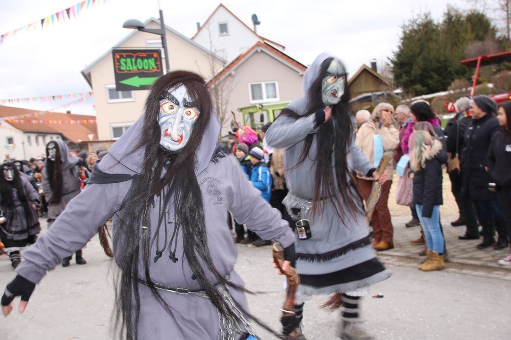 Narrenumzug in Hohenstein-Oberstetten 2018