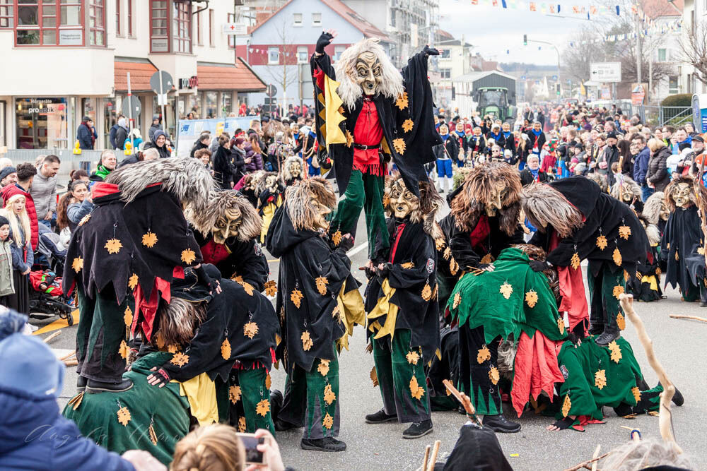 Narrenumzug in Mössingen 2018