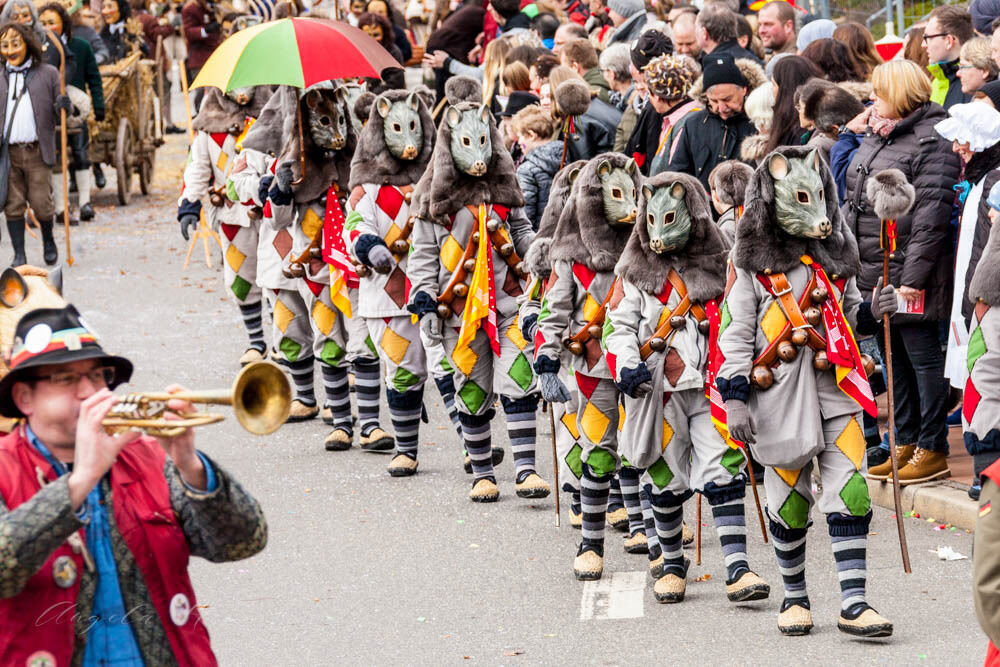 Narrenumzug in Mössingen 2018