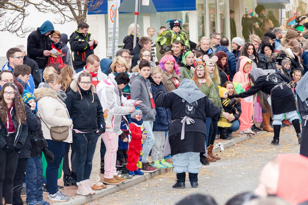 Narrenumzug in Mössingen 2018