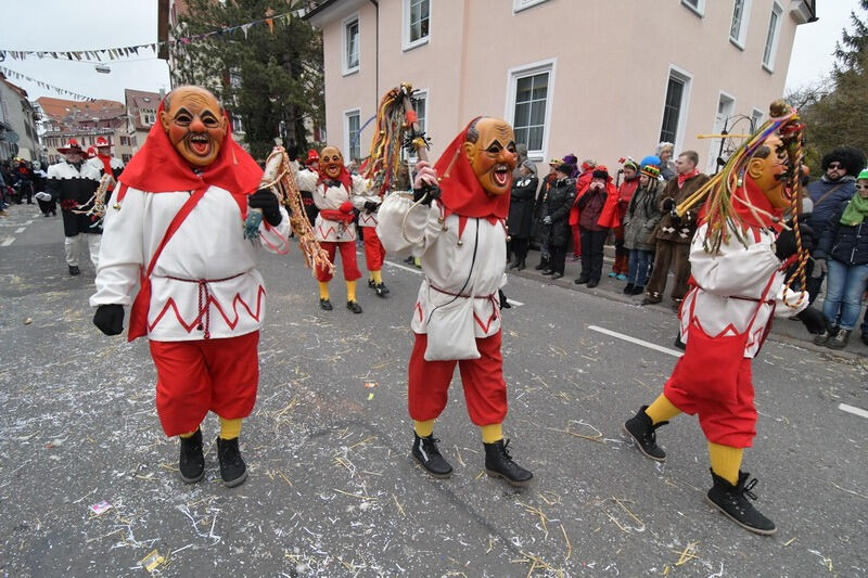 Narrenumzug in Rottenburg 2018