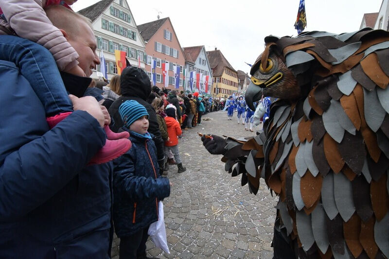 Narrenumzug in Rottenburg 2018