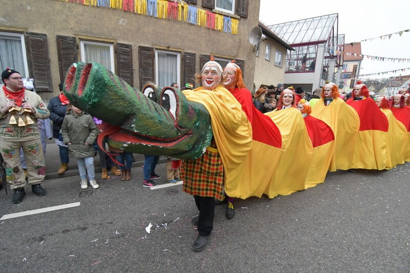 Narrenumzug in Rottenburg 2018