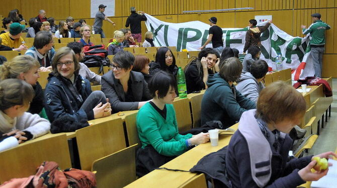 Der Rektor bekundet Verständnis für den Protest. Die Besetzer des Kupferbaus wollen heute ihre Aktion beenden. FOTO: NIETHAMMER