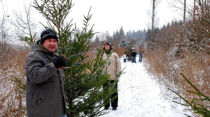 Selbst ist der Säger: Viele Ofterdinger nutzten die Gelegenheit, sich mit einem ganz frischen Baum einzudecken. FOTO: EBER