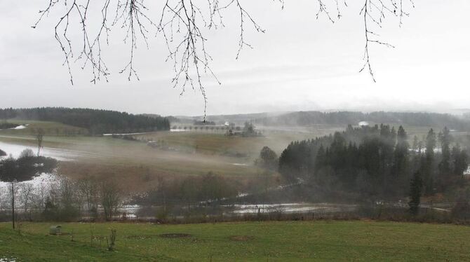 Das Wasserschutzgebiet »Grafeneckersee«, der See liegt ein Stück weiter rechts, vom Grafenecker Friedhof aus.  GEA-FOTO: GEIGER