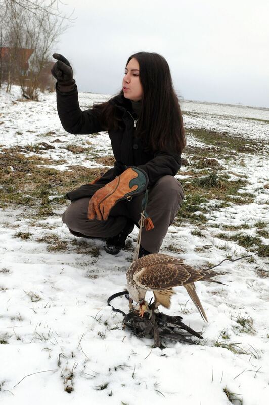 Falknerin Vanessa Müller