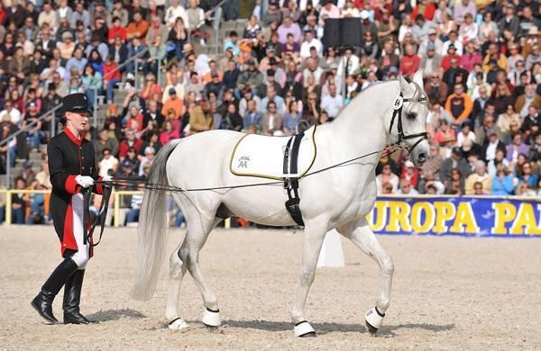 Vorschau Marbach Classics 2010