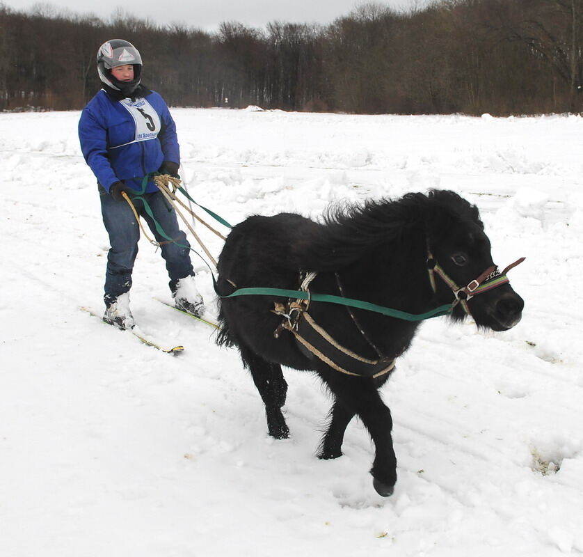 Skijöring und Schlittenrennen Holzelfingen