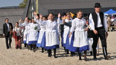 hengstparade_marbach_2009_8 (jpg)