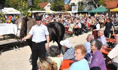 kartoffelfest_st.johann_09.09.2009_pacher_8 (jpg)