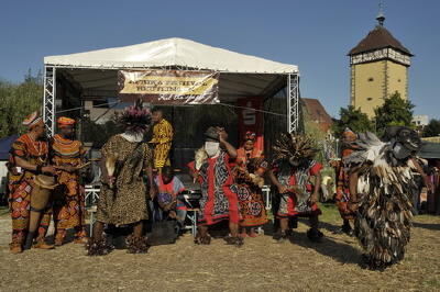 aafrika_festival_august2009_8 (jpg)