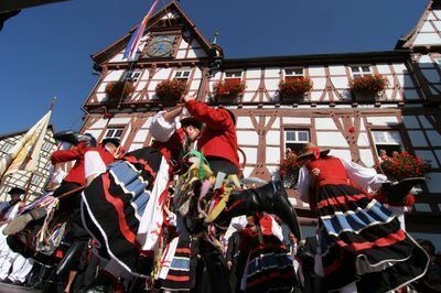 schaeferlauf_bad_urach_fink_26.07.2009_61 (jpg)