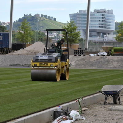 rasen_mercedes_benz_arena_juli2009 (jpg)