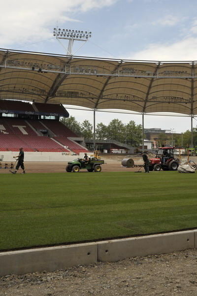 rasen_mercedes_benz_arena_juli2009_2 (jpg)