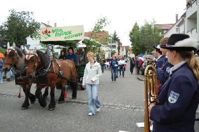 stadtfest_metzingen_18.07.09_Teil1_#_18 (jpg)