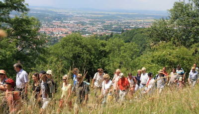 achalm_gipfelsturm_juli2009_10 (jpg)