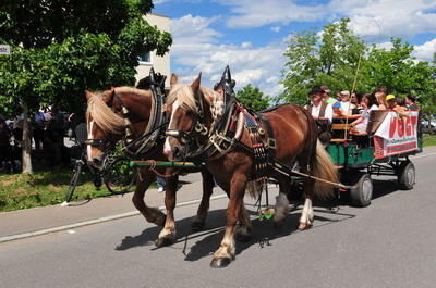 offene_tuer_schlattwiesen_mai2009_28 (jpg)