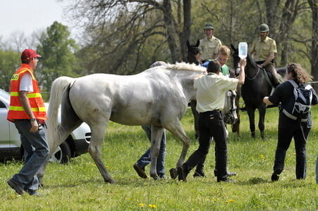 Reiten_Marbacher_Vielseitigkeit_Mai_2009_14 (jpg)