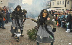 Jubiläumsumzug Uschlaberghexa Pfullingen 2010