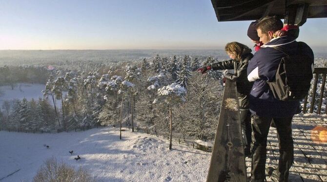 Im Wildpark Schwarze Berge fällt der Blick über die Landschaft südlich von Hamburg. Lieblinge der Besucher sind dort die Hängebauchschweine.  FOTOS: WILDPARK SCHWARZE BERGE/TMN